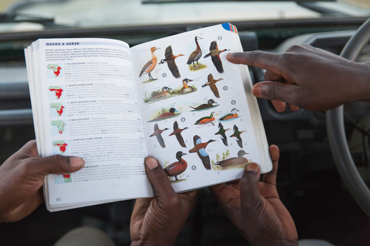 people pointing at a book