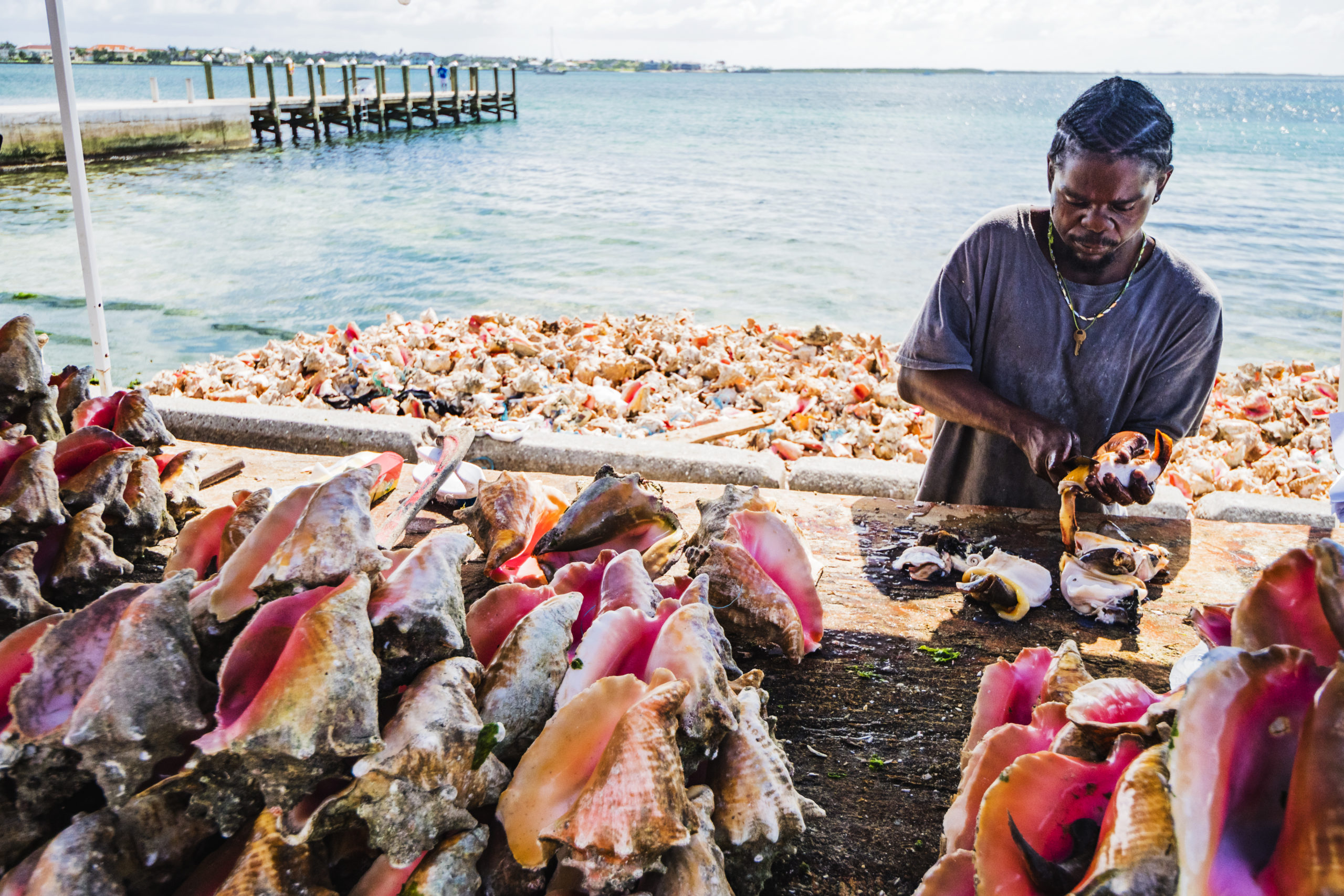 bahamian-queen-conch-fishers-scientists-share-knowledge-for-a