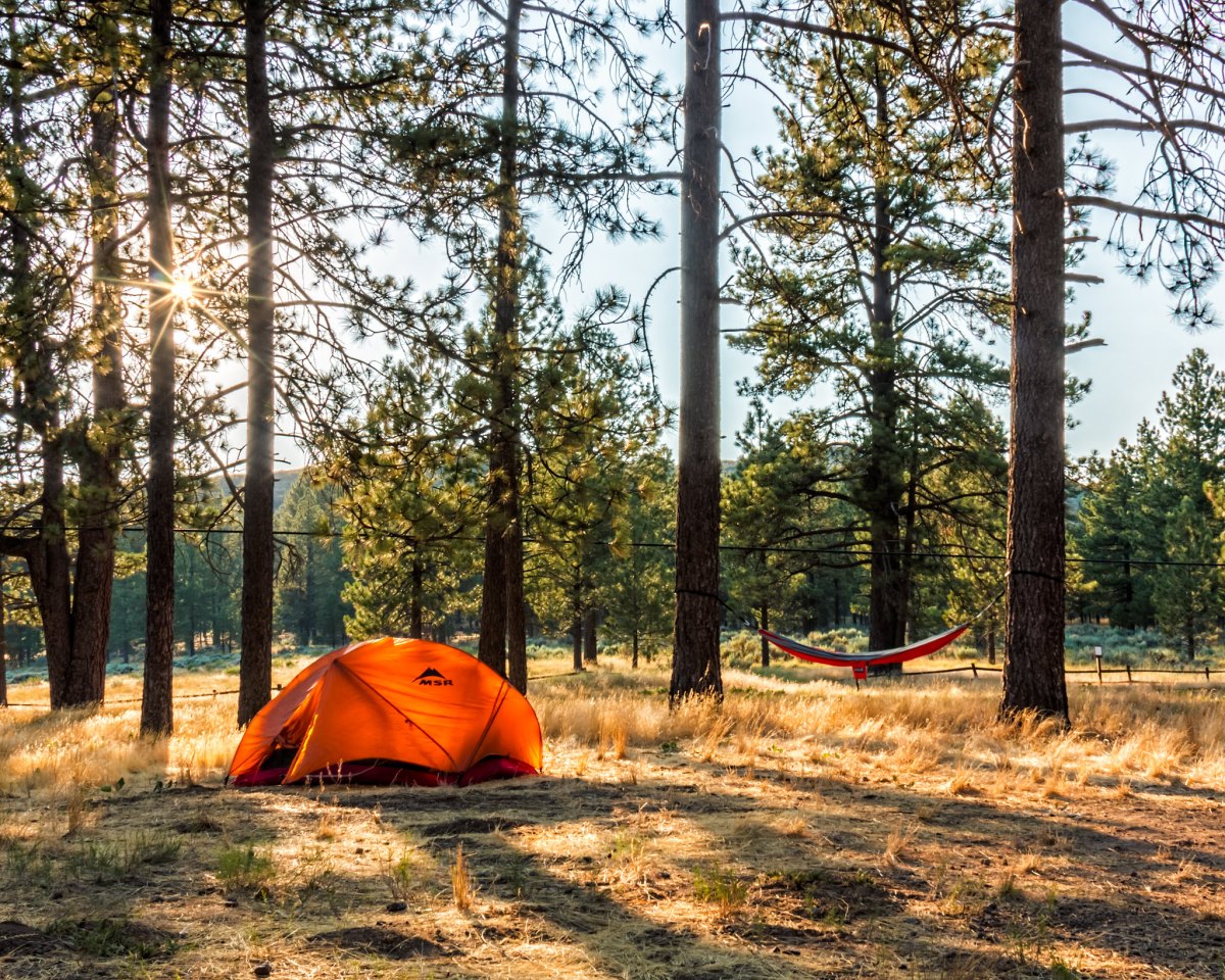 orange tent at a campground
