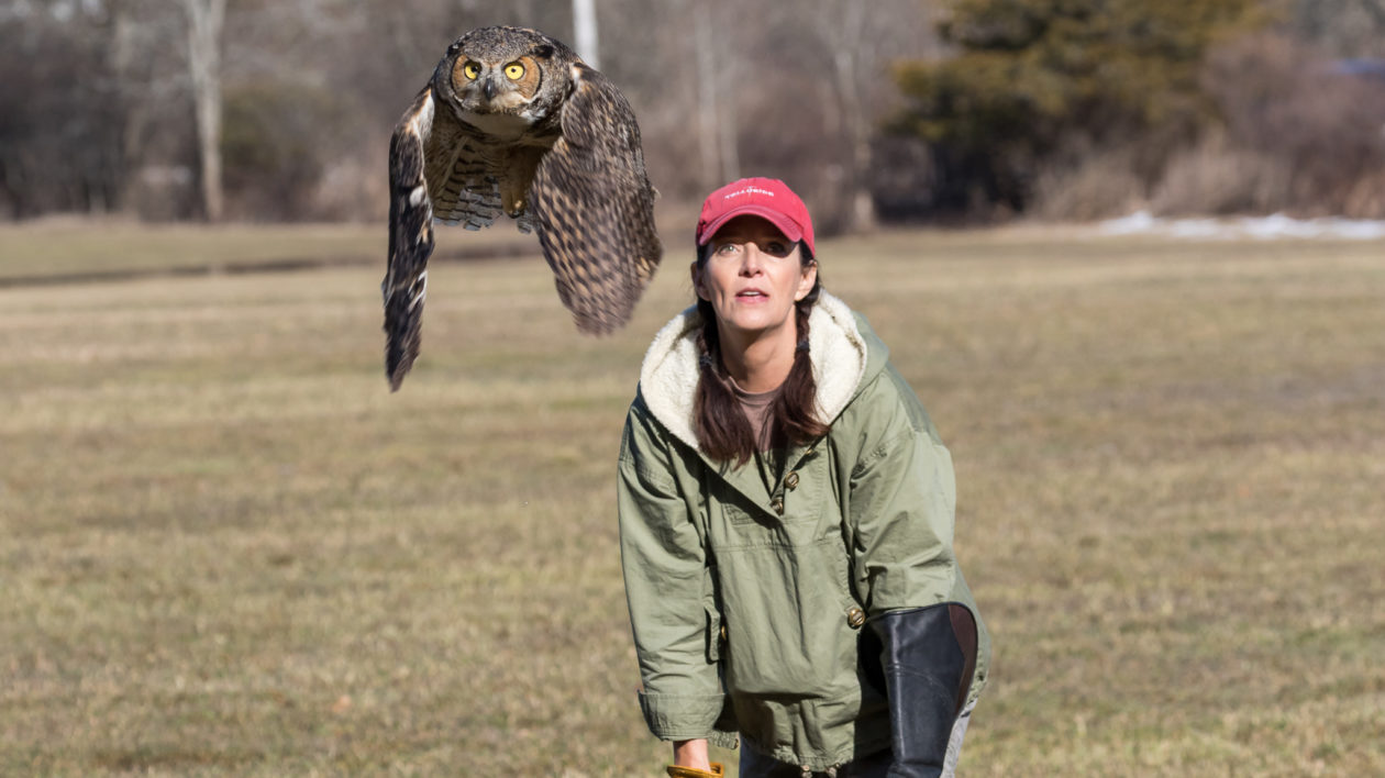 women launching an owl into the air