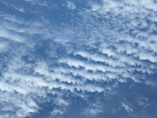 puffy clouds in lines with blue sky