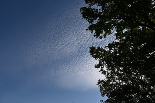 wispy dappled cloud layer