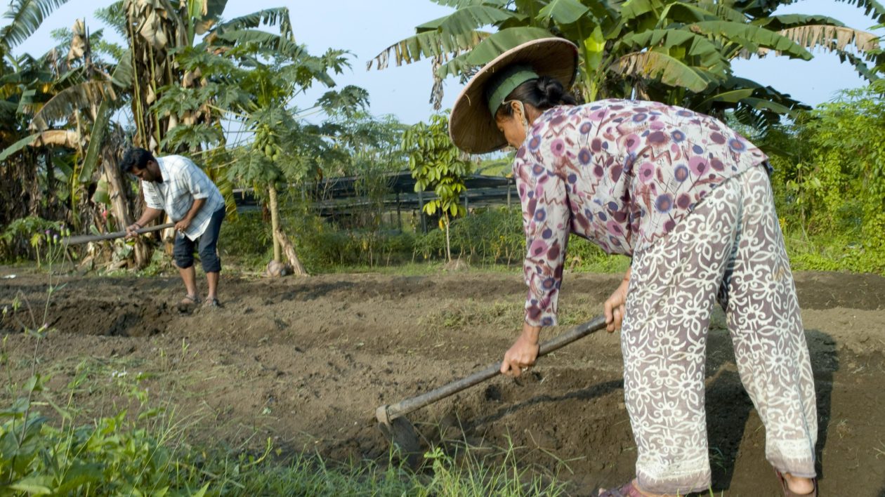 woman working in a field