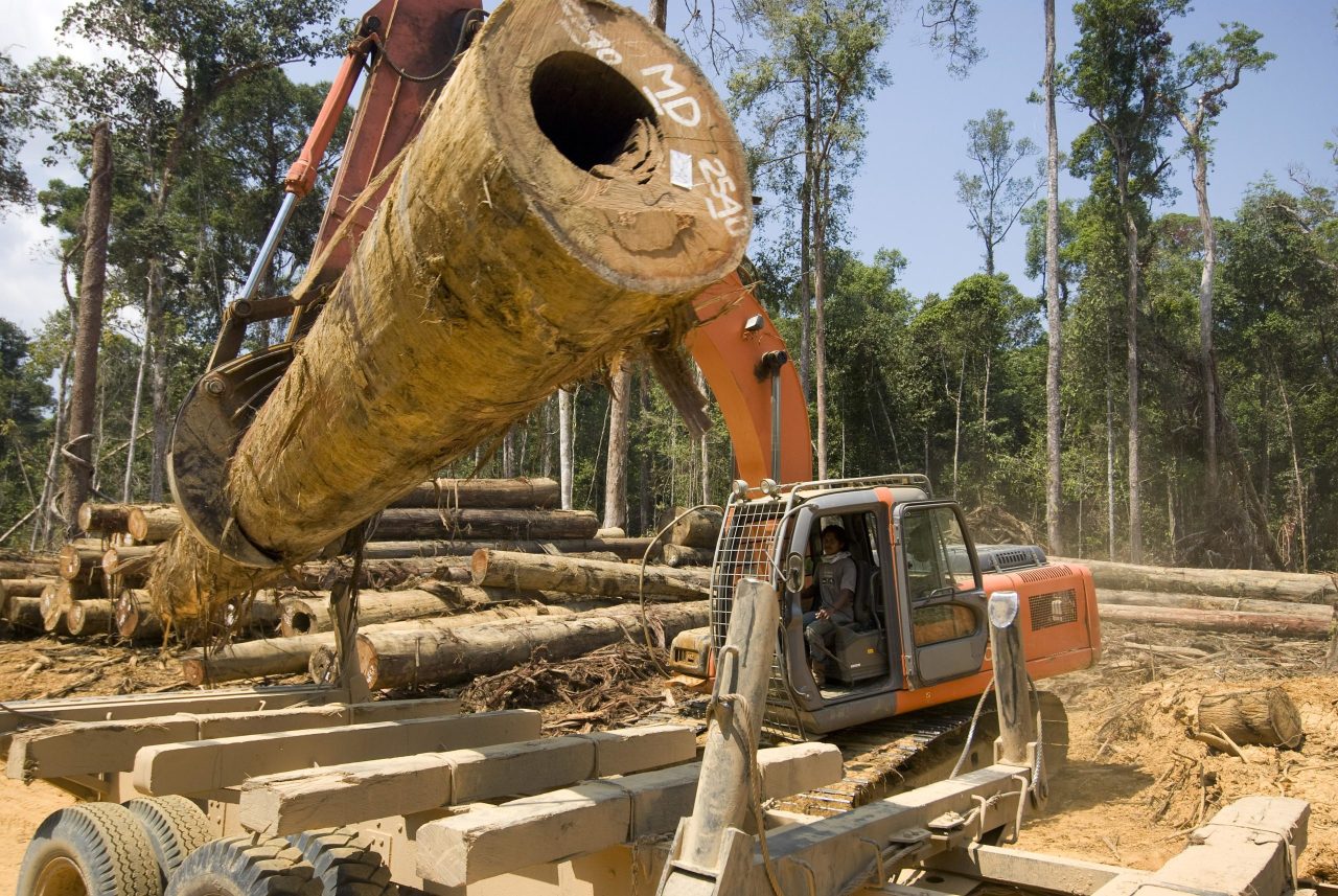 large orange machine lifting a log