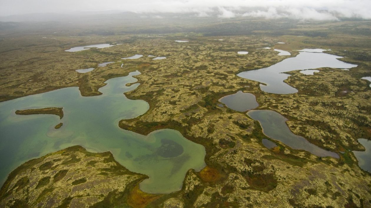 aerial view of Alaskan watershed