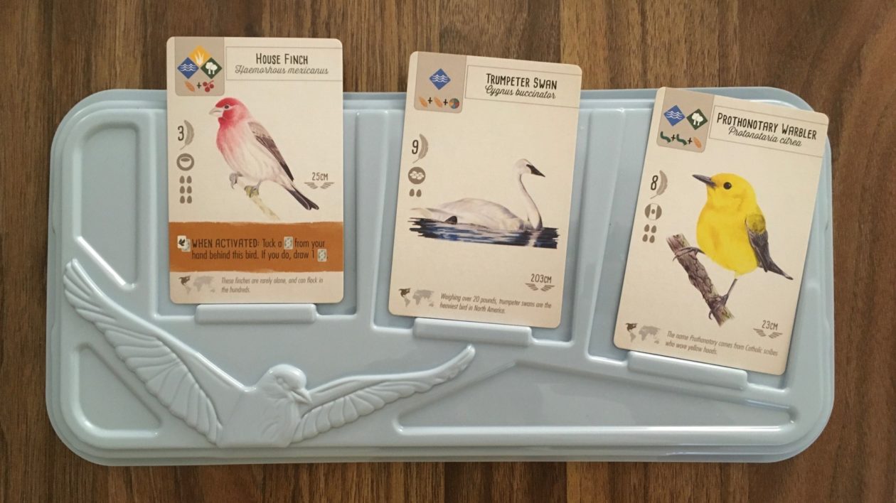 close up of a board game cards with birds on them