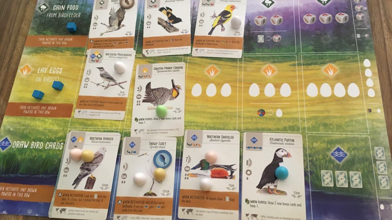 for bird lovers bird games