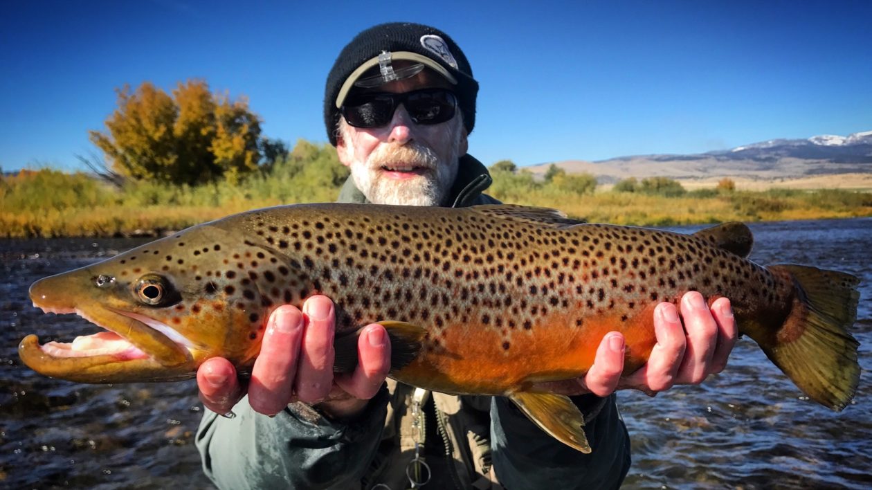 man wearing sunglasses holding large speckled fish