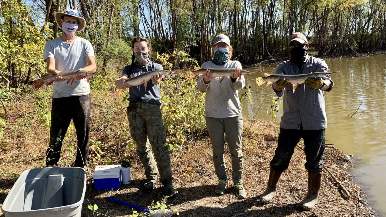 four people outside holding fish