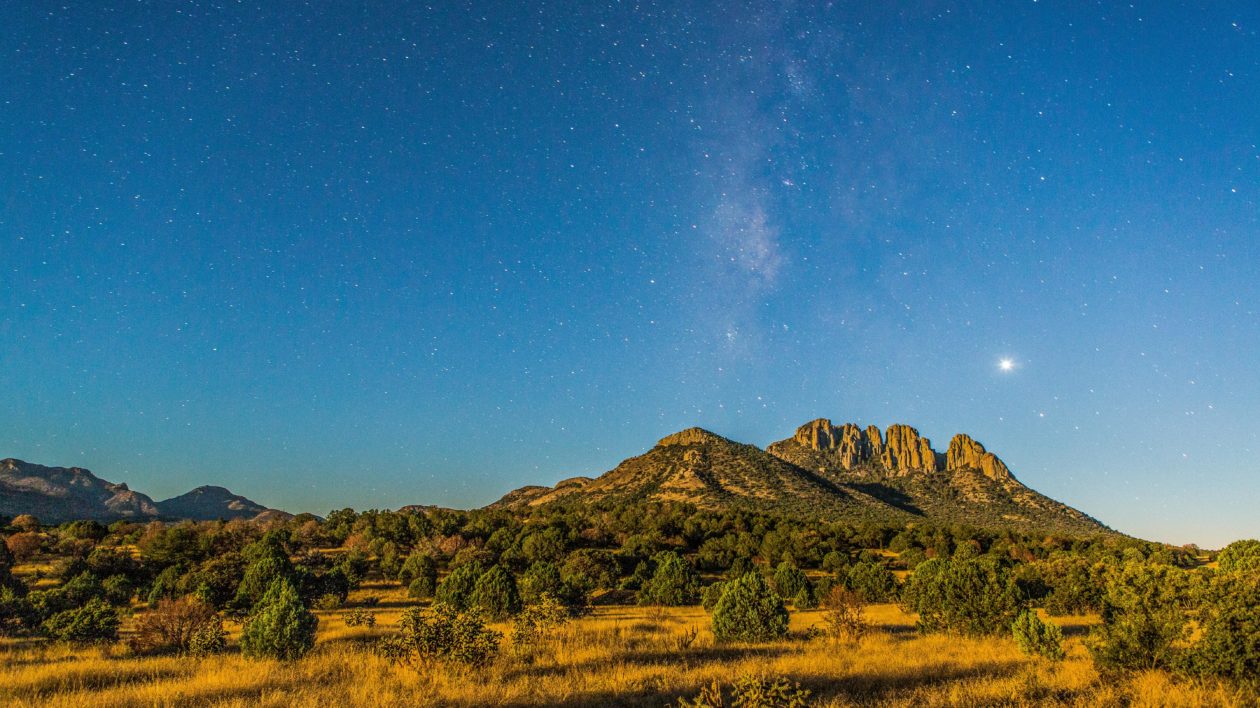 mountains with trees and a starry sky