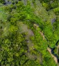 overhead view of green peat forests