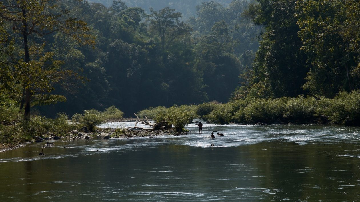 a river with people in the distance