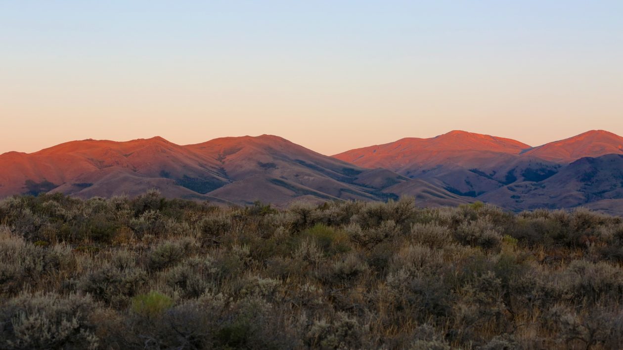 mountains and sagebrush at sunset