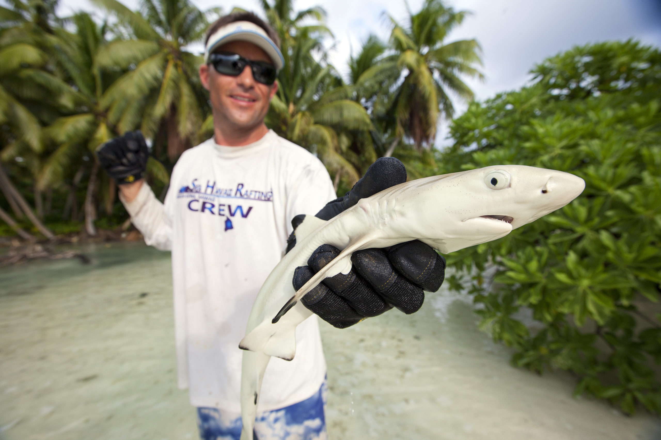 man holding a shark toward the camera