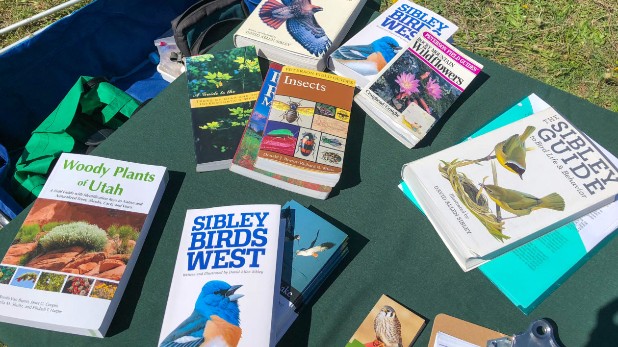 books on a green table outside