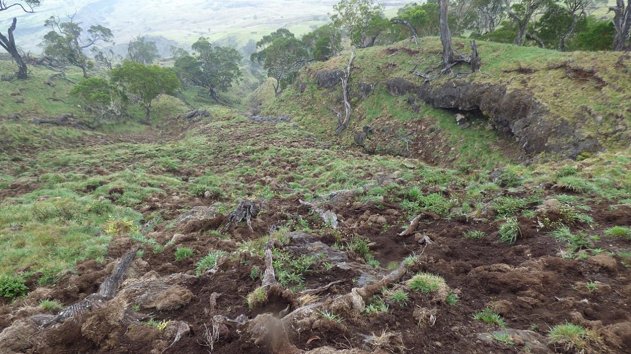 soil disturbed on a hill