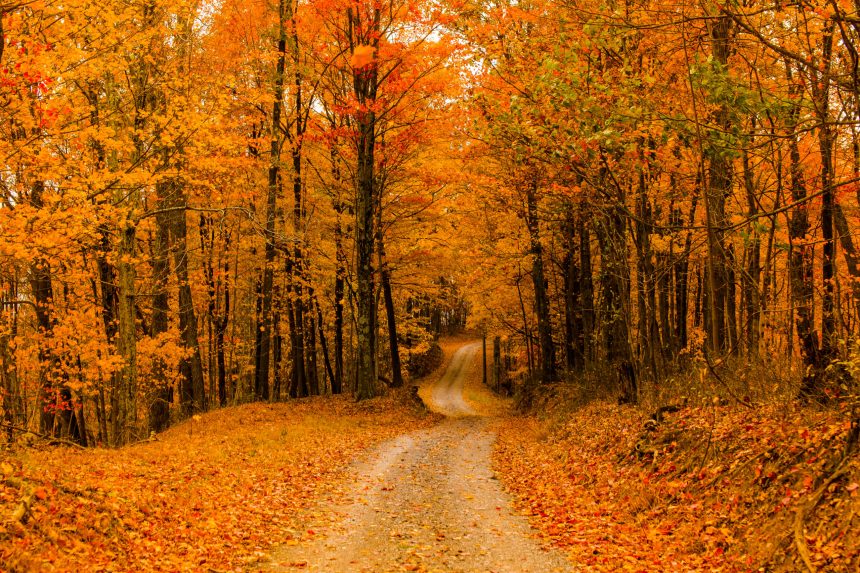 8 Fall Nature Experiences to Enjoy