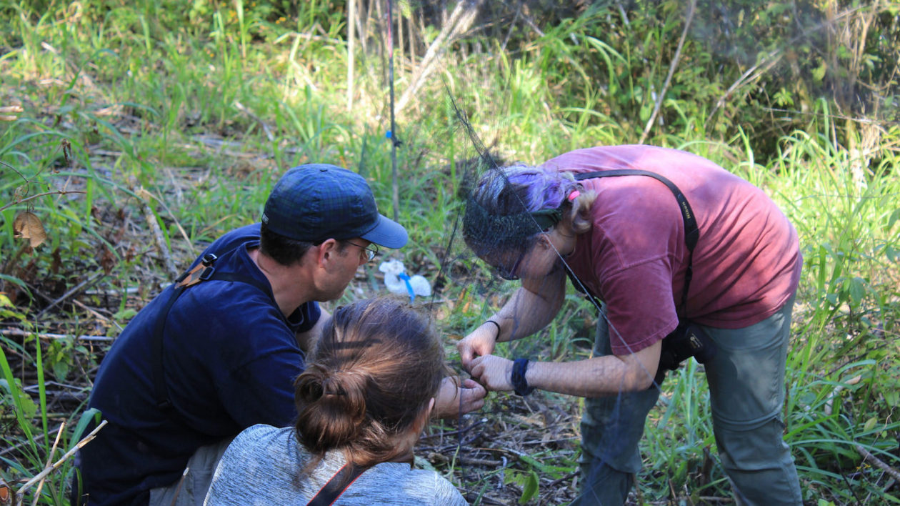 man showing two other people a small bird