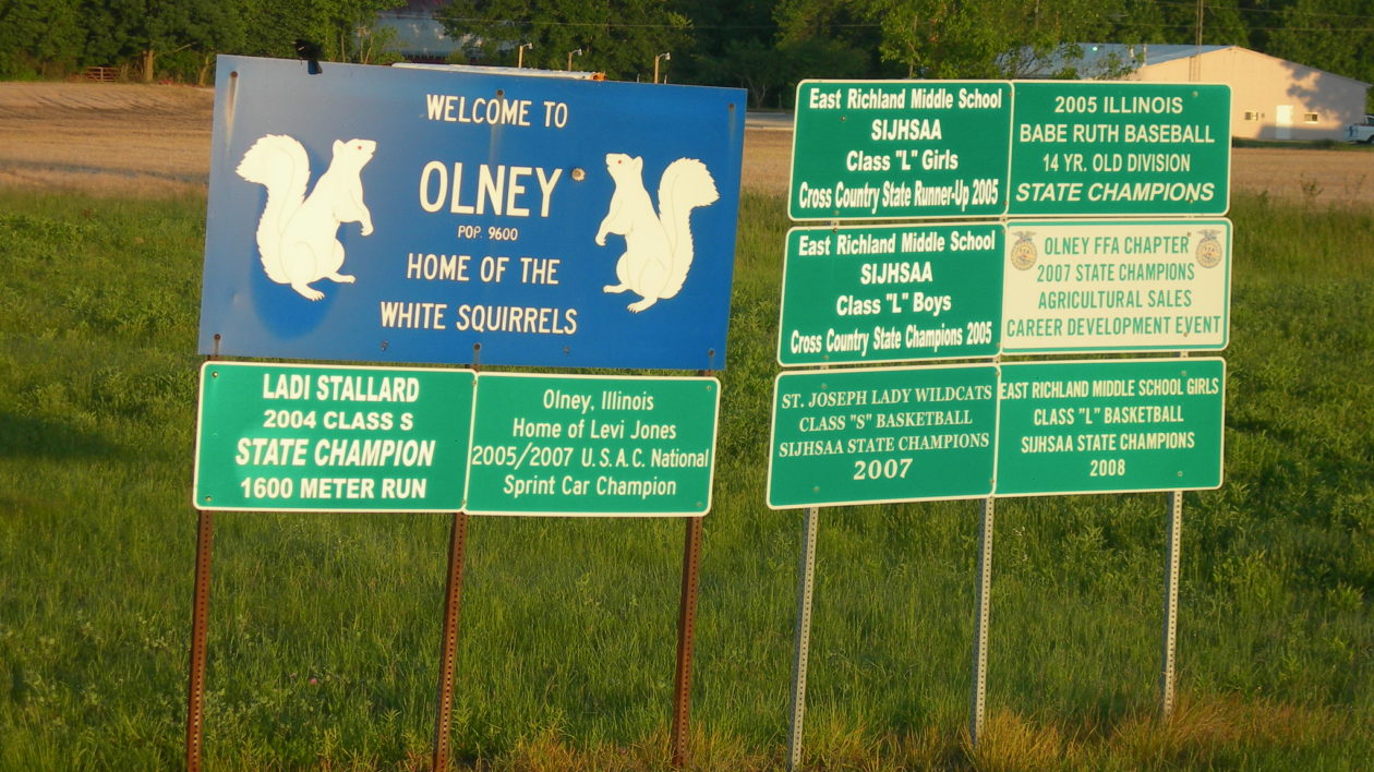 blue sign in green grass with squirrel image on it
