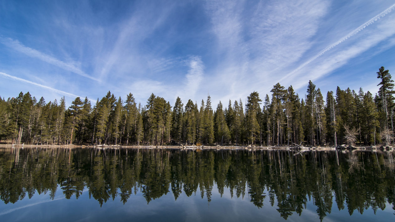 a lake with a reflected forest in the water