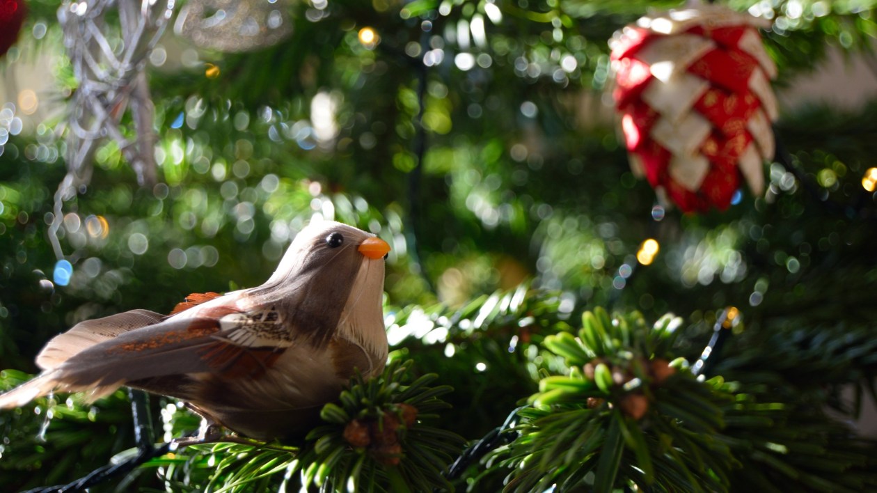 fake bird ornament in Christmas tree