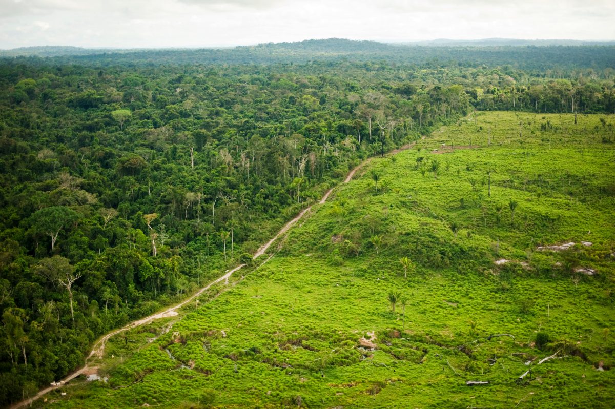 aerial photo of half a green field and half forest