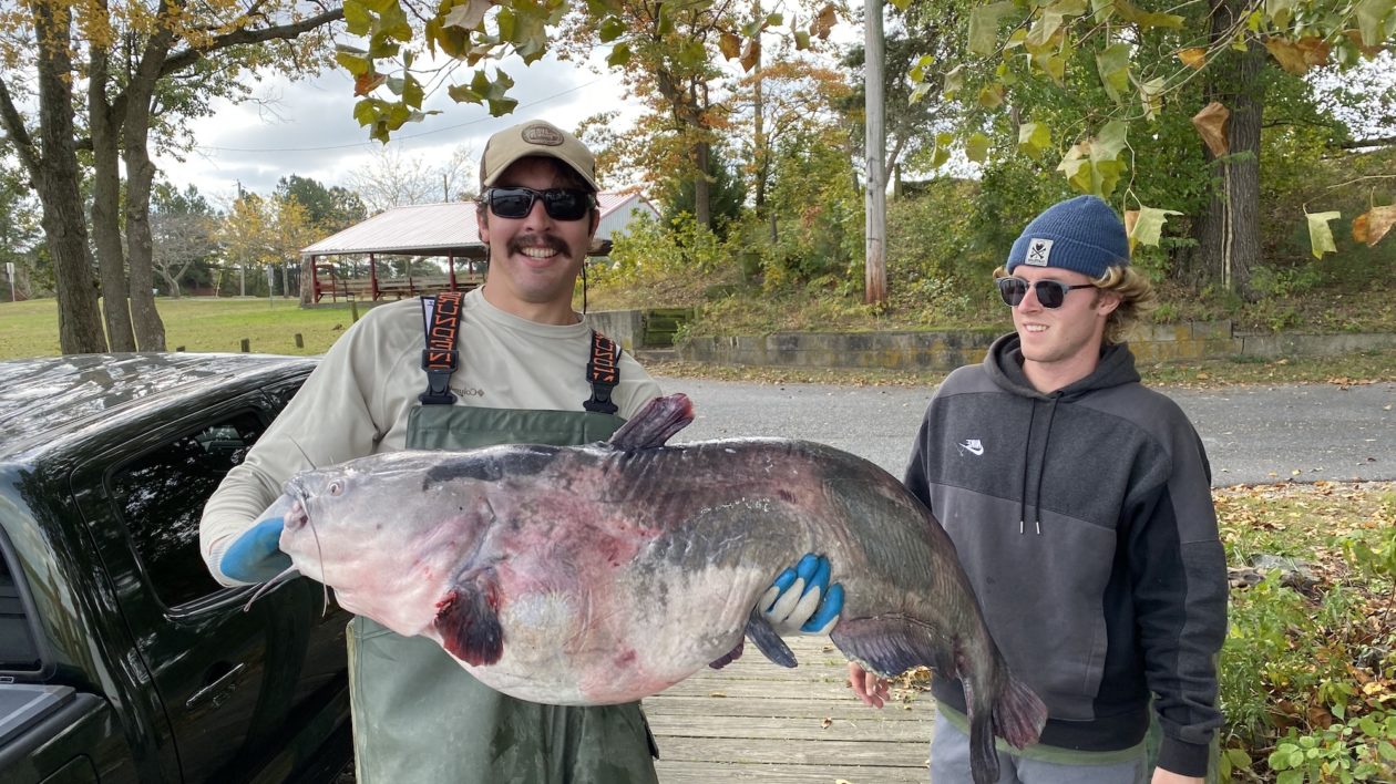 two men holding a large fish