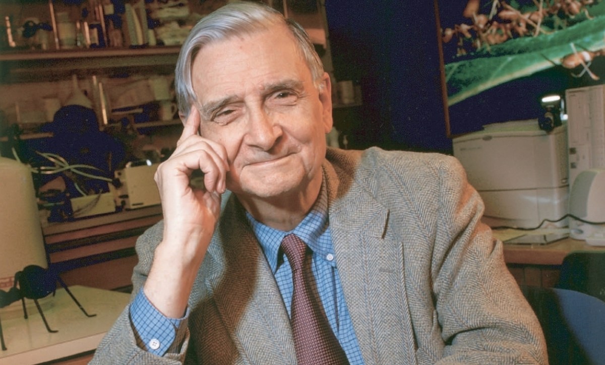 elderly man smiling at the camera in his office
