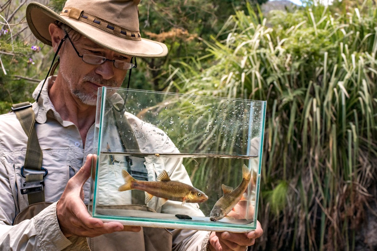 man in a hat holding a fish tank with a fish inside