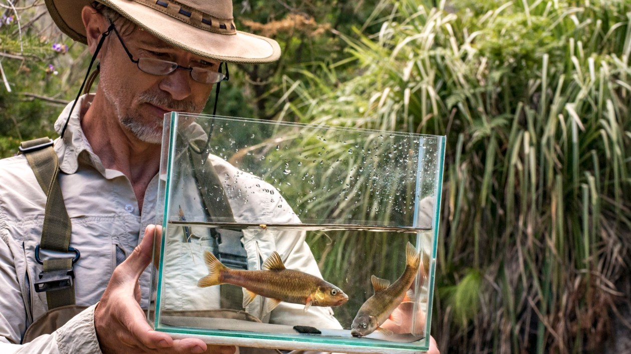 man in a hat holding a fish tank with a fish inside