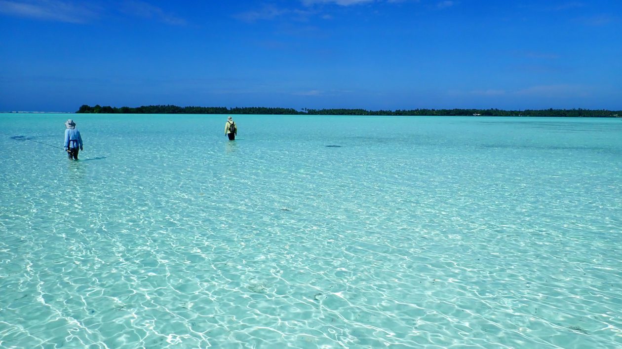 Fishing for Science on Palmyra Atoll