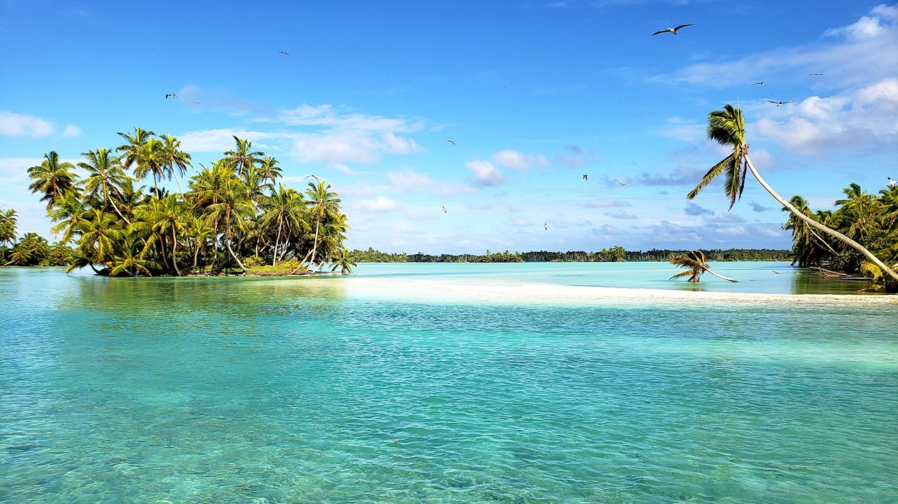 Fishing for Science on Palmyra Atoll