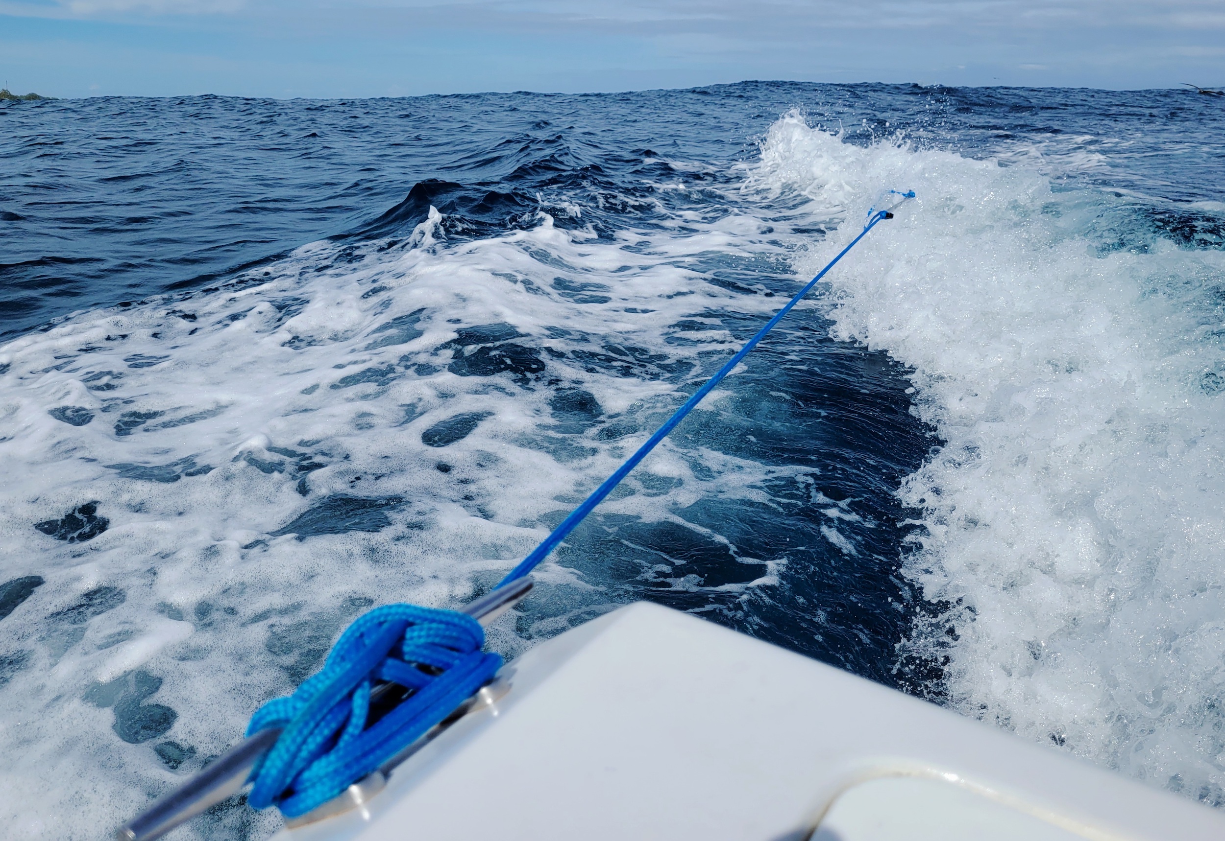 How Scientists Fish: The Hand Line