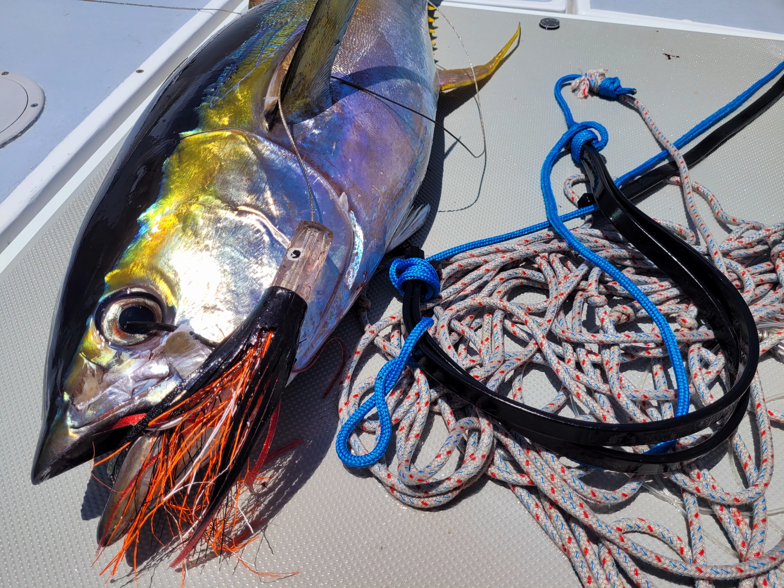 Trolling lines - Fishing gear type