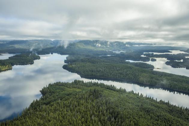 Seeing the Forest for the Deer: Alaskan Scientists Harness Big Data for ...