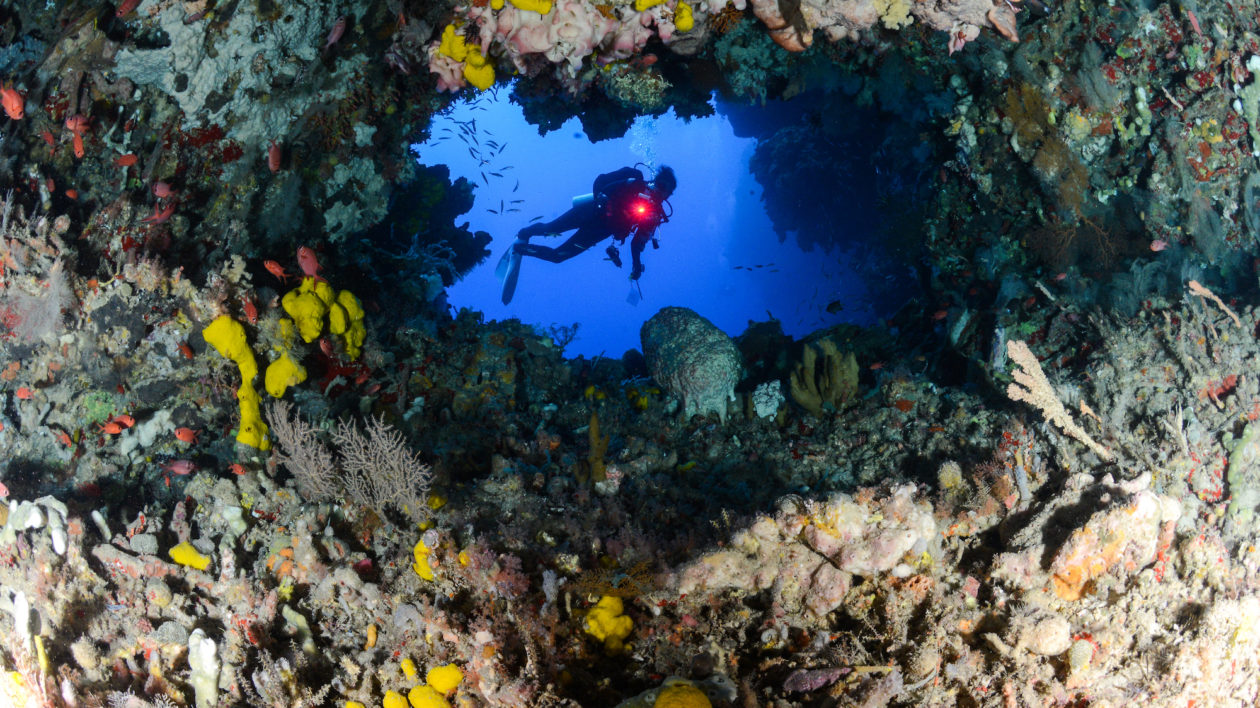 New Policy Tool Could Represent Sea Change for Coral Reef Conservation