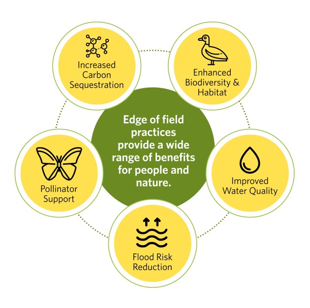 Edge of Field Practices Enhance Benefits to Farmers and Nature Cool Green Science