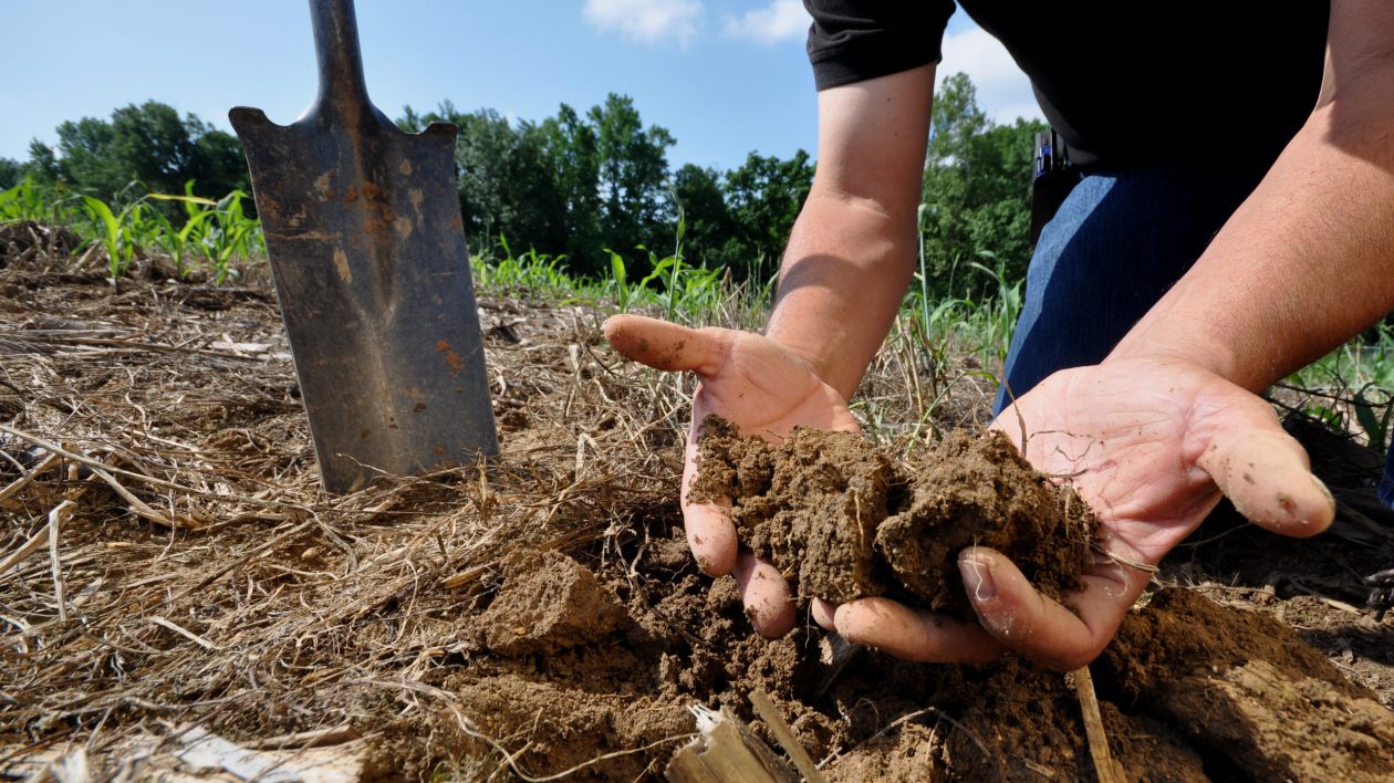 hands showing dark soil with organic matter
