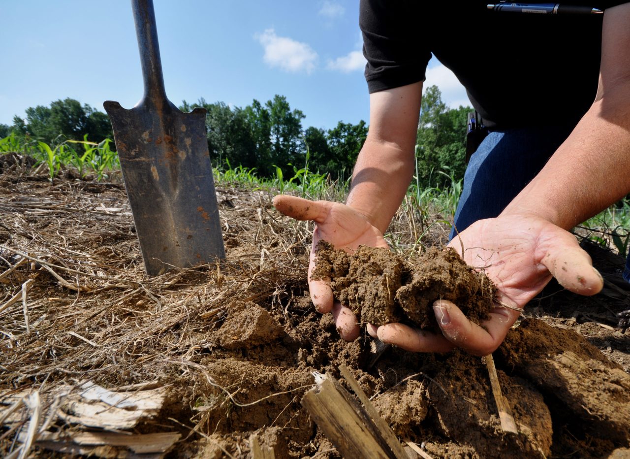 hands showing dark soil with organic matter