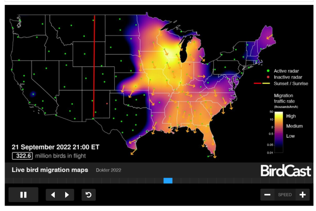 BirdCast: It's Like a Weather Forecast, But for Birds