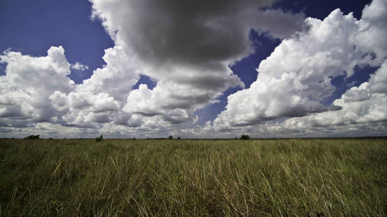 grassland and clouds in the sky