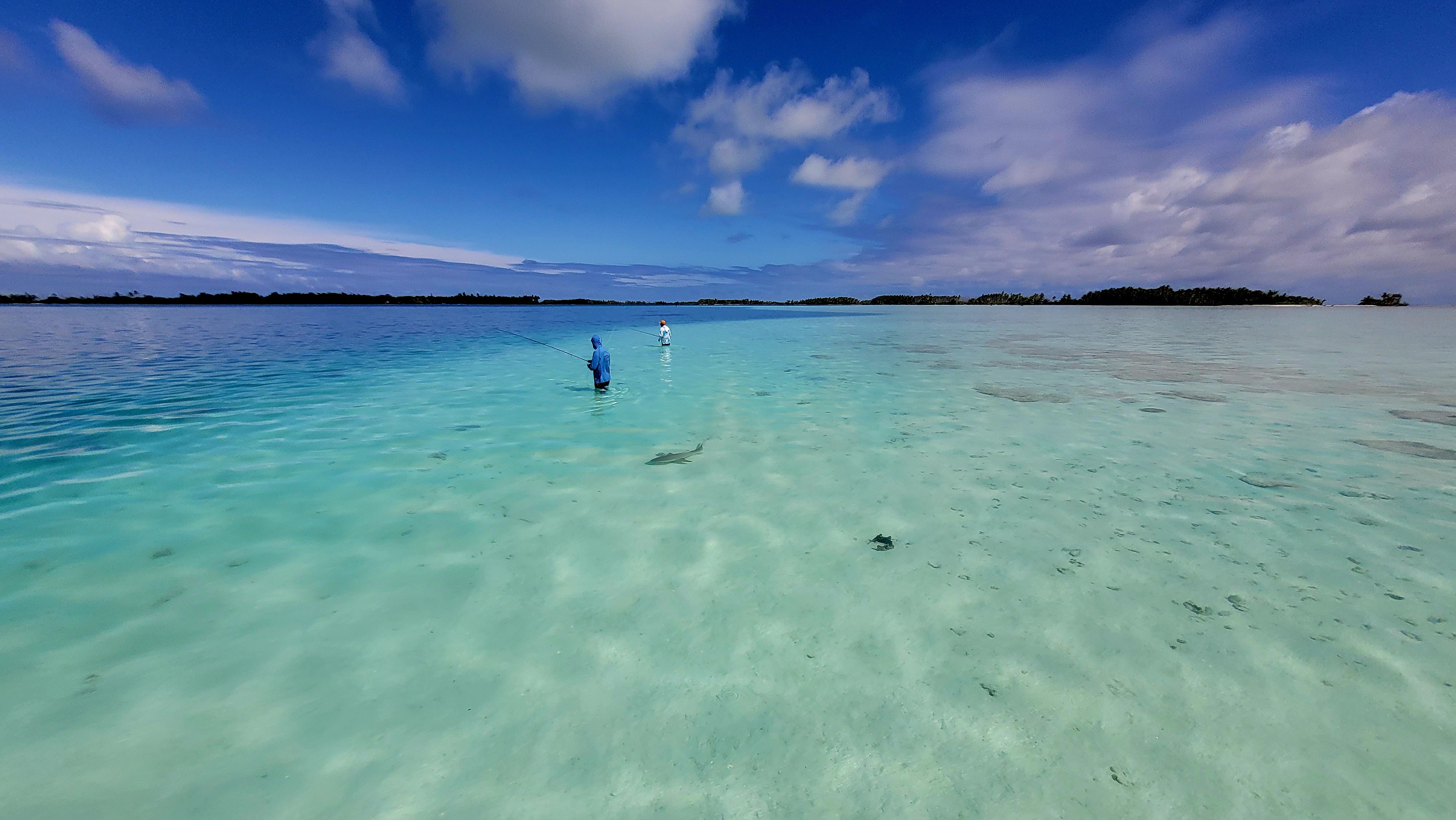 Fishing for Science on Palmyra Atoll