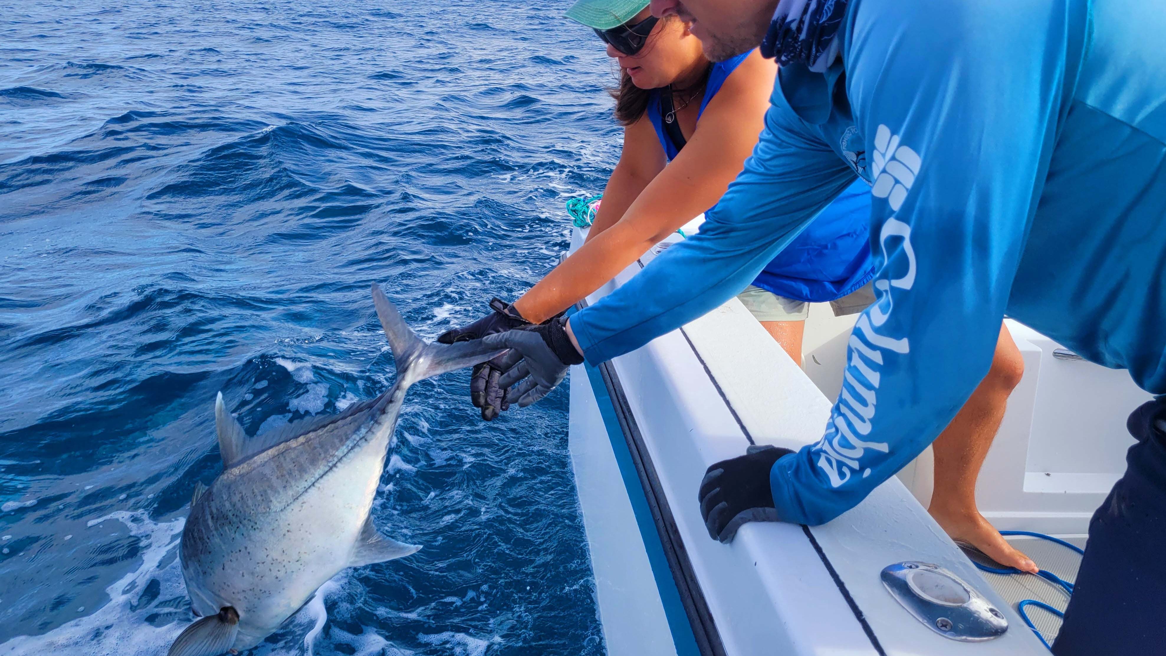 Handline tuna fishers for sustainable fishing: Let's take a day