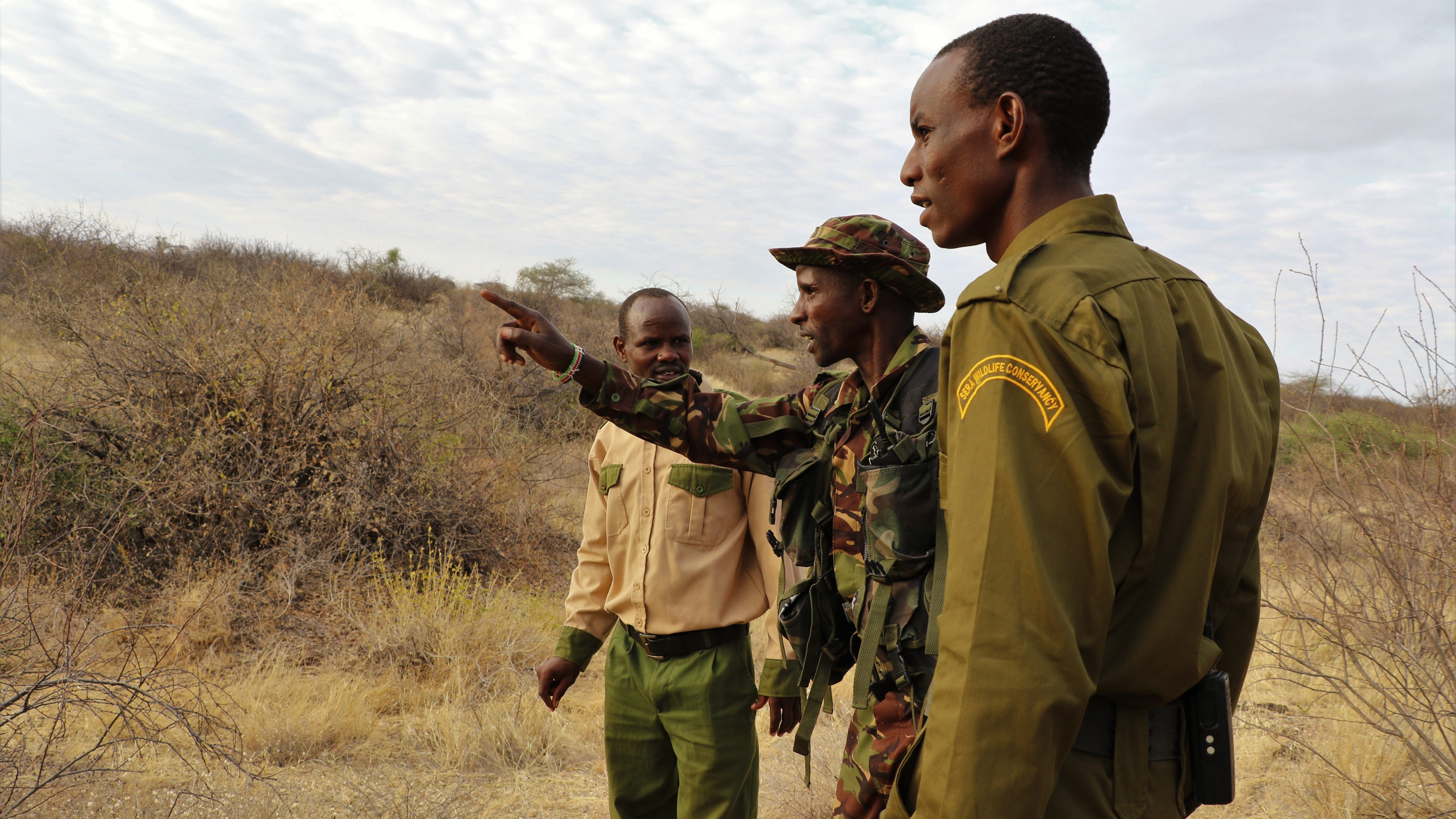 Three men tracking rhinos