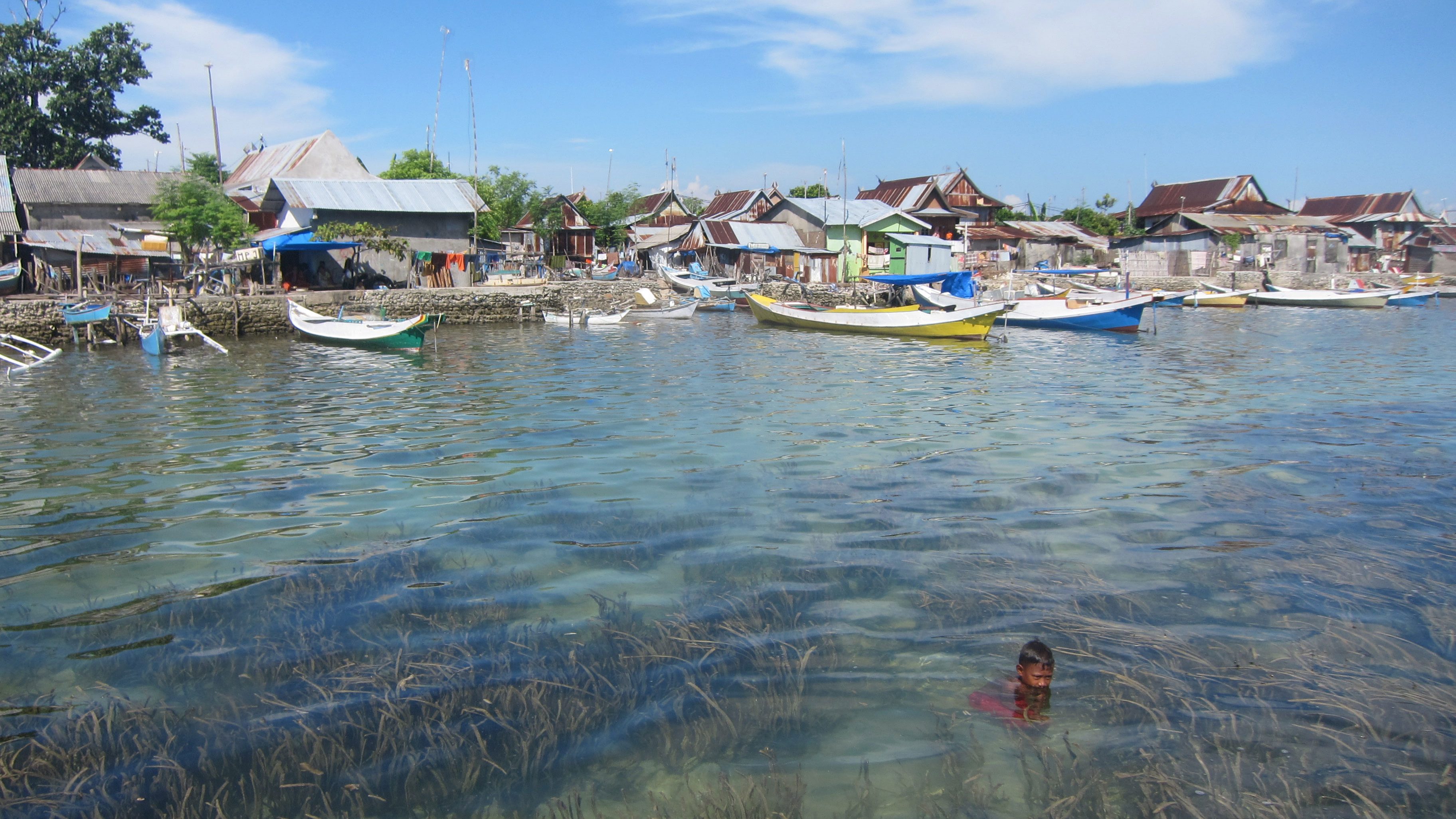 Seagrass ecosystem in Spermonde Islands ©Joleah Lamb