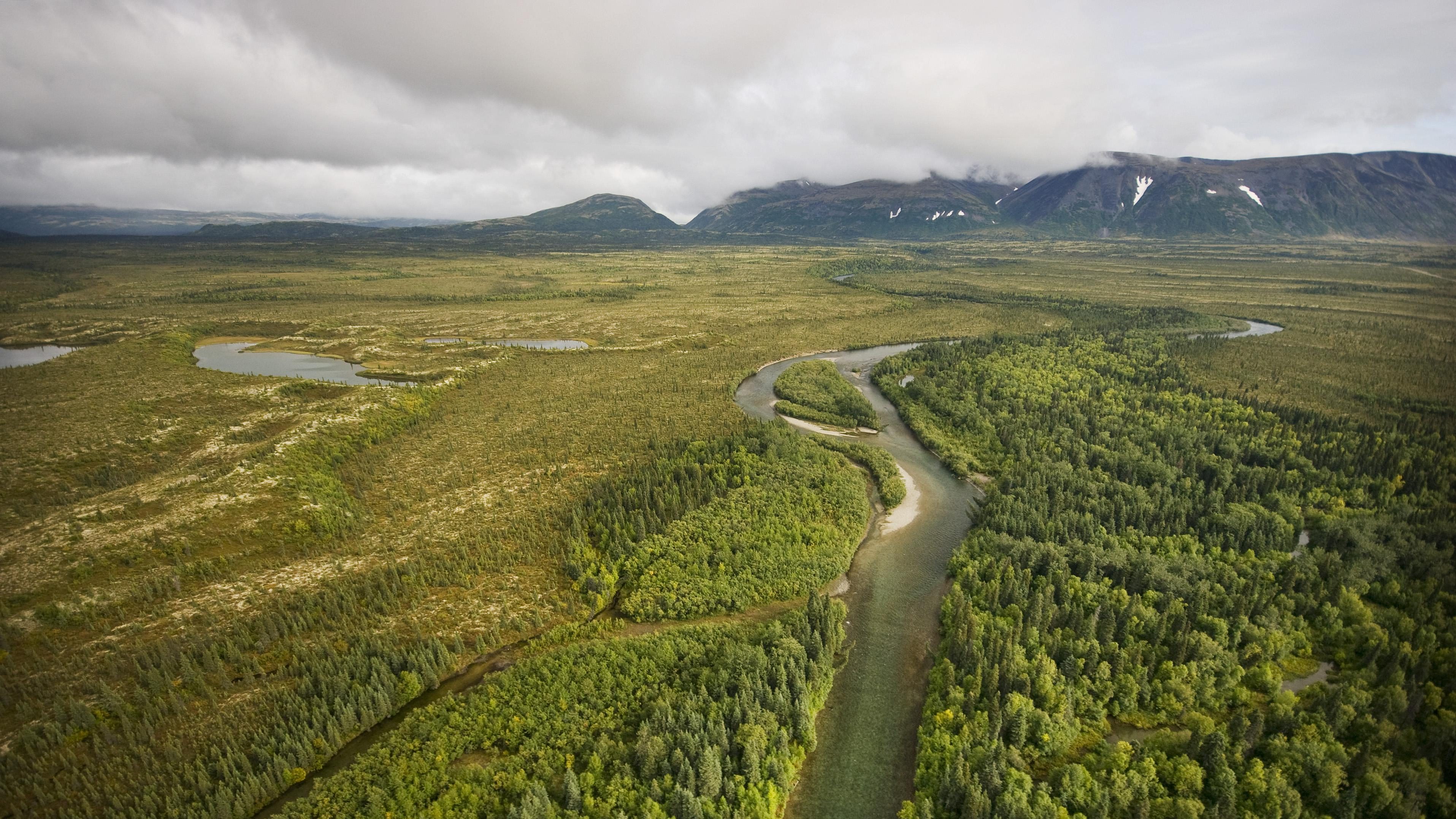 aerial view of forest, river and distant mountains