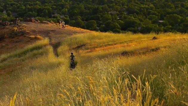 mountain biker riding through grassy hills