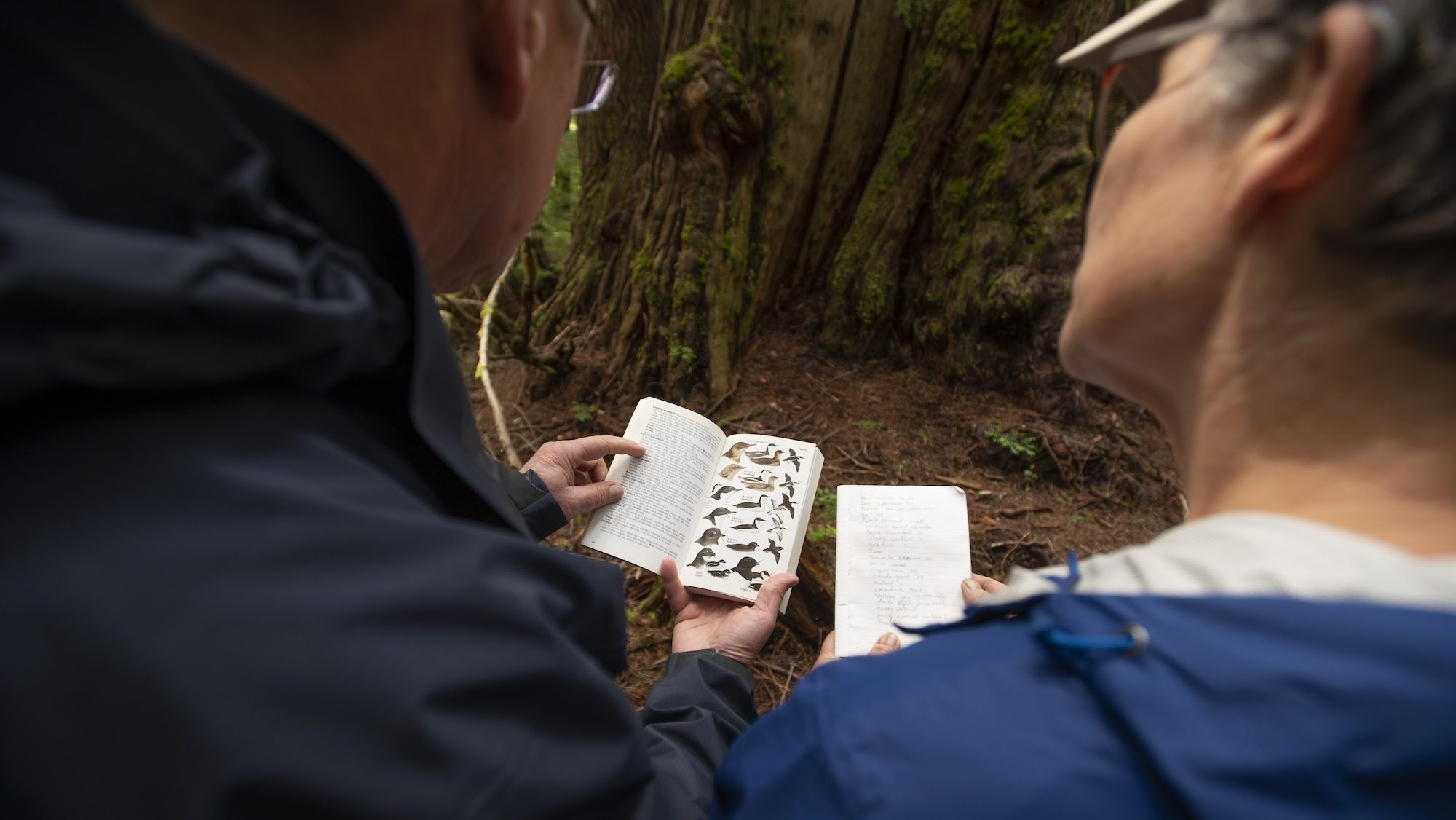 two people looking at a bird guide