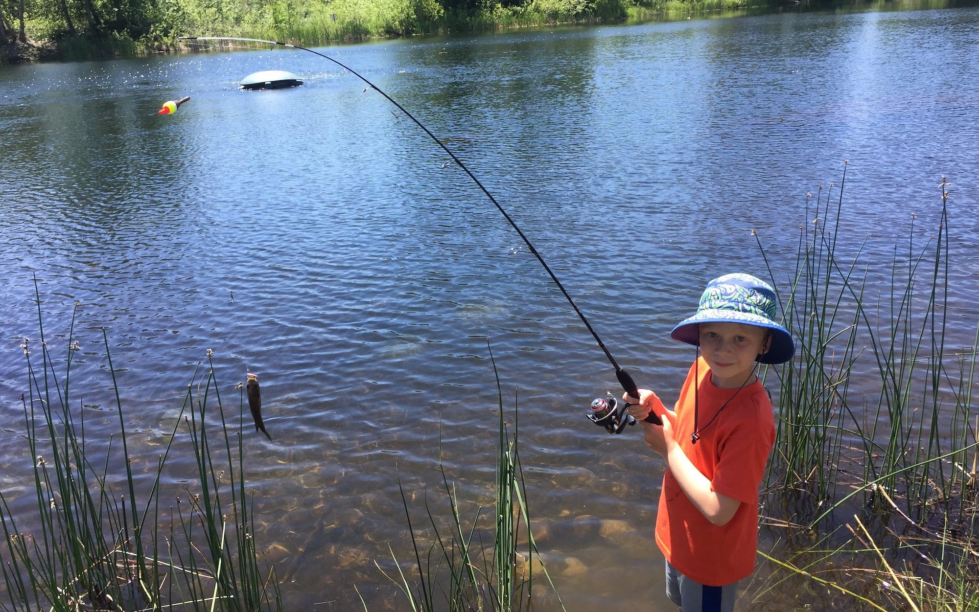 Young boy in front of a pond holding a fishing rod and a fish