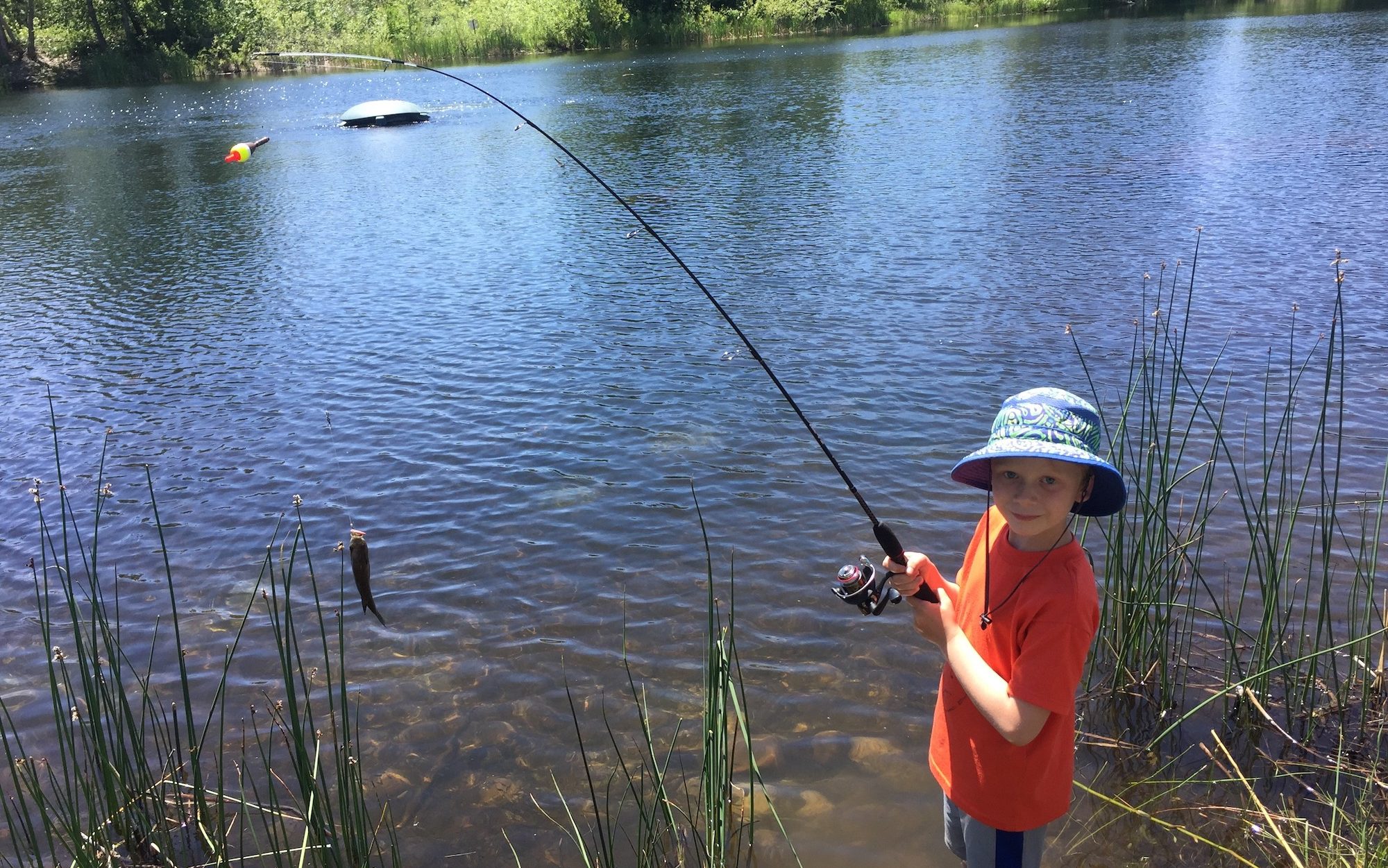 Matthew L. Miller on X: Florida gar. Fishing for this species in